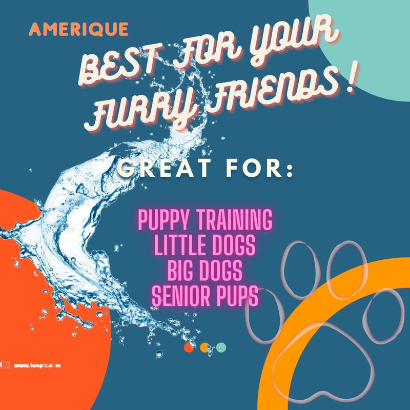 AMERIQUE Dog and Puppy Pet Pee Training Pads with Odor-Eliminating Leak-Proof Quick-Dry Design, Potty Training, Super Absorbency, Large Size, 23.6 x 23.6 Inches, Pack of 40, Blue & White - Image 4