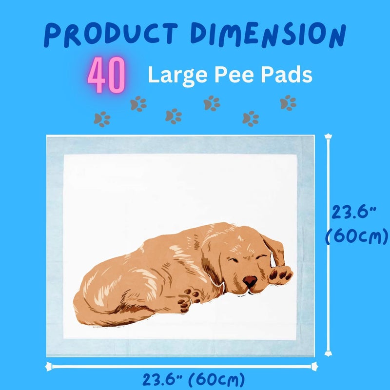 AMERIQUE Dog and Puppy Pet Pee Training Pads with Odor-Eliminating Leak-Proof Quick-Dry Design, Potty Training, Super Absorbency, Large Size, 23.6 x 23.6 Inches, Pack of 40, Blue & White - Image 3