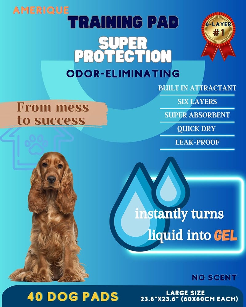 AMERIQUE Dog and Puppy Pet Pee Training Pads with Odor-Eliminating Leak-Proof Quick-Dry Design, Potty Training, Super Absorbency, Large Size, 23.6 x 23.6 Inches, Pack of 40, Blue & White - Image 2