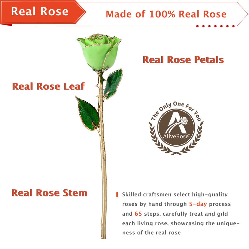 AliveRose Valentines Day Gift Rose  24K Gold Dipped Rose Made from Real Rose - Unique Design Gold Plated Rose for Anniversary Valentines (Green Handmade Rose with Crystal Base) - Image 2
