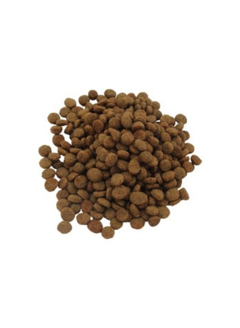 ONE Dry Cat Food 1kg - Image 2