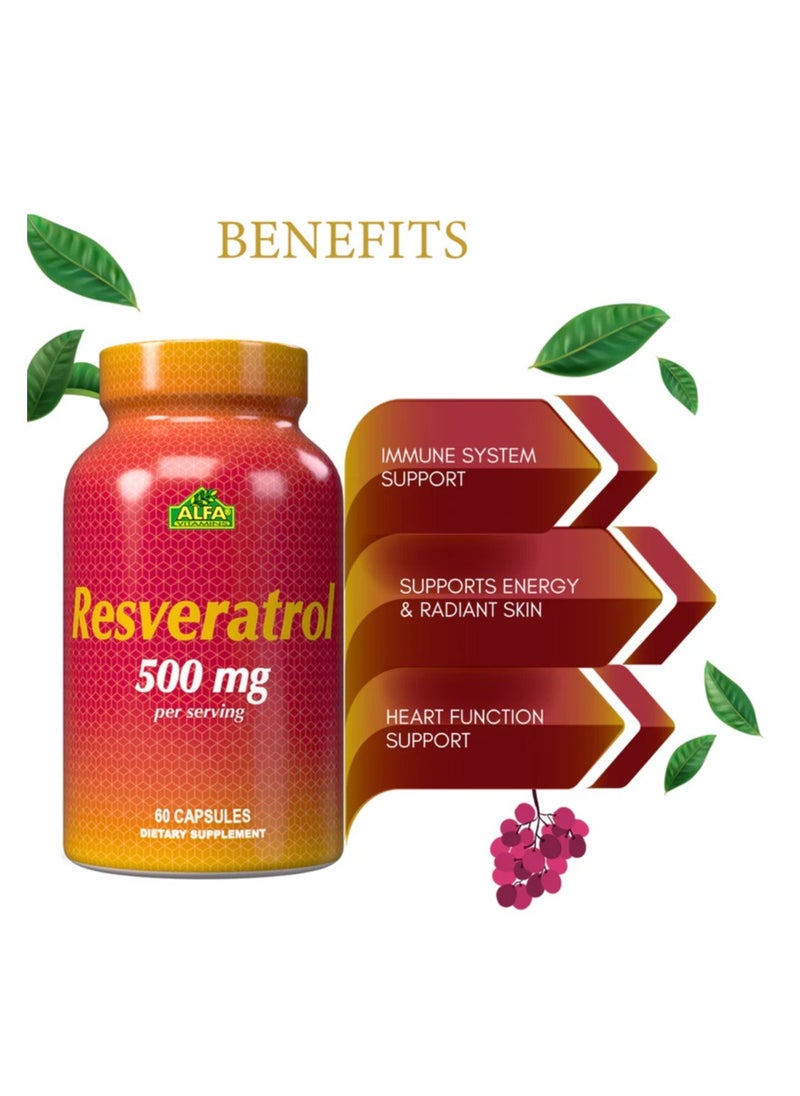 alfa vitamins Resveratrol 500 mg - 60 capsules  - Image 3