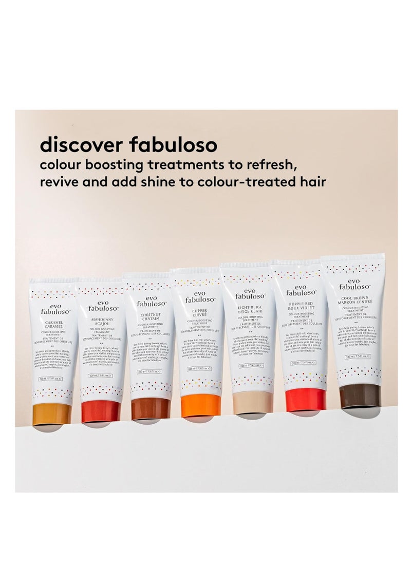 EVO Evo Fabuloso mahogany colour boosting treatment 220ml  - Image 3
