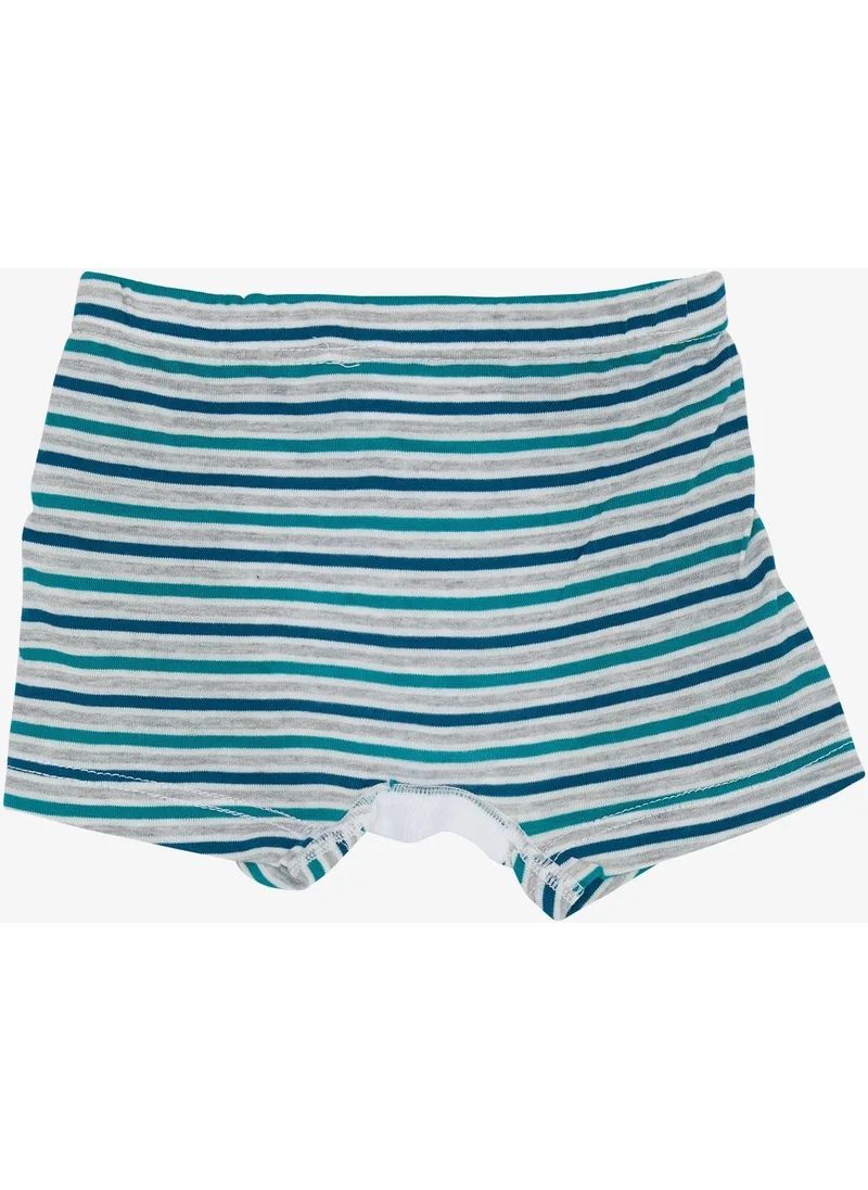 كاتامينو Boy Child Boxer Striped 1-3 Years, Mixed Color