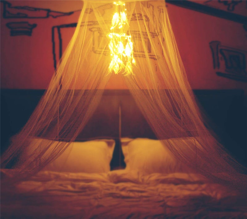 Comtelek Bed Canopy with Double Circle White Feather Dream Catcher and 50 LED Fairy String Lights, Mosquito Net - Unique Style Dome Bed Netting Canopy Curtains Canopy - Suggested for Twin Full Queen King Bed - Image 2