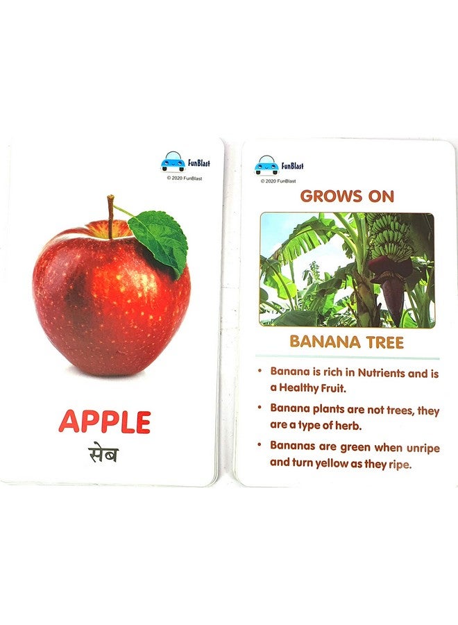 FunBlast Fruits & Vegetables Flash Card, Pack of 36 Double Sided Flash Card for Kids -Multicolor - Image 3