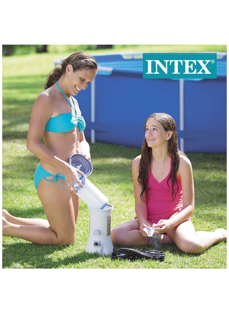 INTEX - خرطوشة فلتر حوض السباحة من انتكس - 29000، ابيض عدد 1 (عبوة من قطعة واحدة) - Image 1