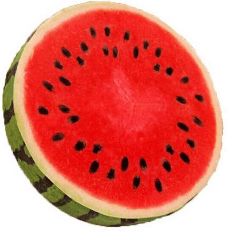 ME  YOU ME YOU Fruit Cushion Pillow Round Shape Decorative Cushion Fruit Sponge Pillow Microfiber Velvet Watermelon Fruits Cushion Pillow Throw Pillow 1616 Inch  - Image 2