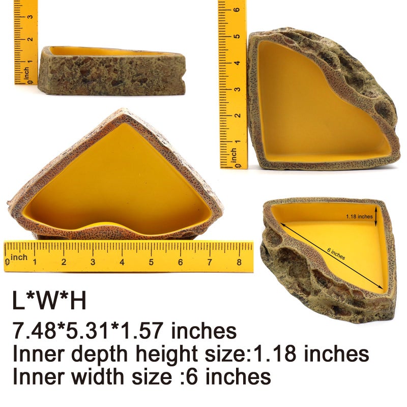 Reptile Feeder Resin Bowl Amphibian Reptile Bowl for Lizard Gecko Bearded Dragon Turtle - Image 3