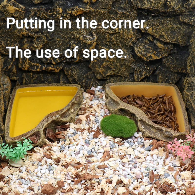 Reptile Feeder Resin Bowl Amphibian Reptile Bowl for Lizard Gecko Bearded Dragon Turtle - Image 2