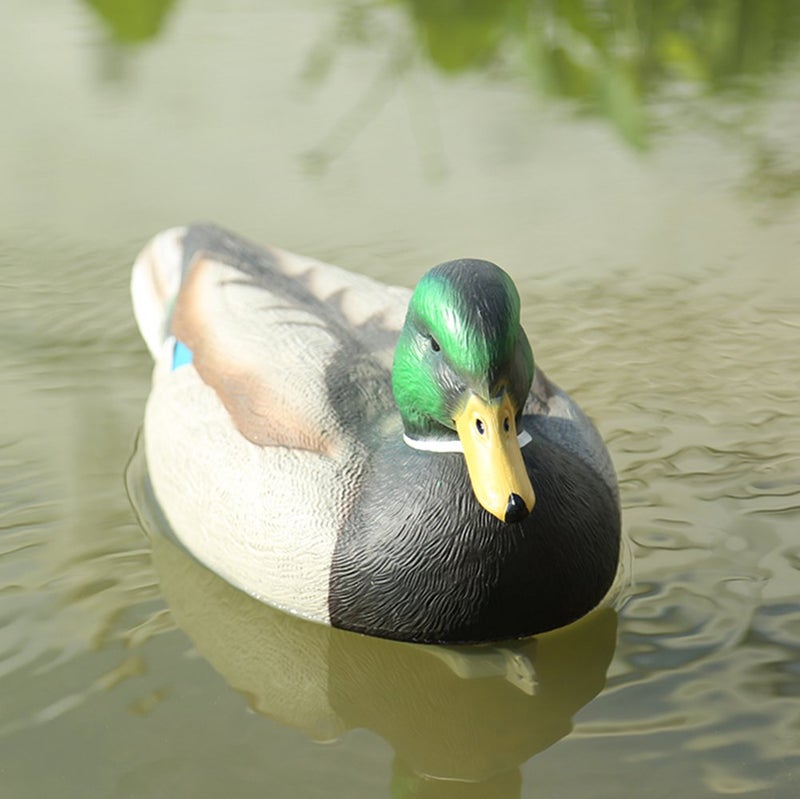 RioRand Highly Realistic Plastic Male Duck Garden Decor Hunting Decoy - Image 3