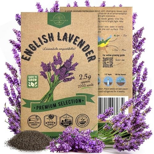 Organo Republic English Lavender Seeds Pack 2.50G - Over 2200 Non-GMO Heirloom Lavender Seeds for Planting Herbs in Individual Seed Packet, Herbs Seeds for Planting Home Garden Indoor & Outdoor Gardening - Image 1