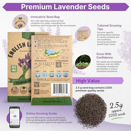 Organo Republic English Lavender Seeds Pack 2.50G - Over 2200 Non-GMO Heirloom Lavender Seeds for Planting Herbs in Individual Seed Packet, Herbs Seeds for Planting Home Garden Indoor & Outdoor Gardening - Image 2