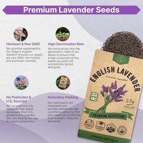 Organo Republic English Lavender Seeds Pack 2.50G - Over 2200 Non-GMO Heirloom Lavender Seeds for Planting Herbs in Individual Seed Packet, Herbs Seeds for Planting Home Garden Indoor & Outdoor Gardening - Image 5