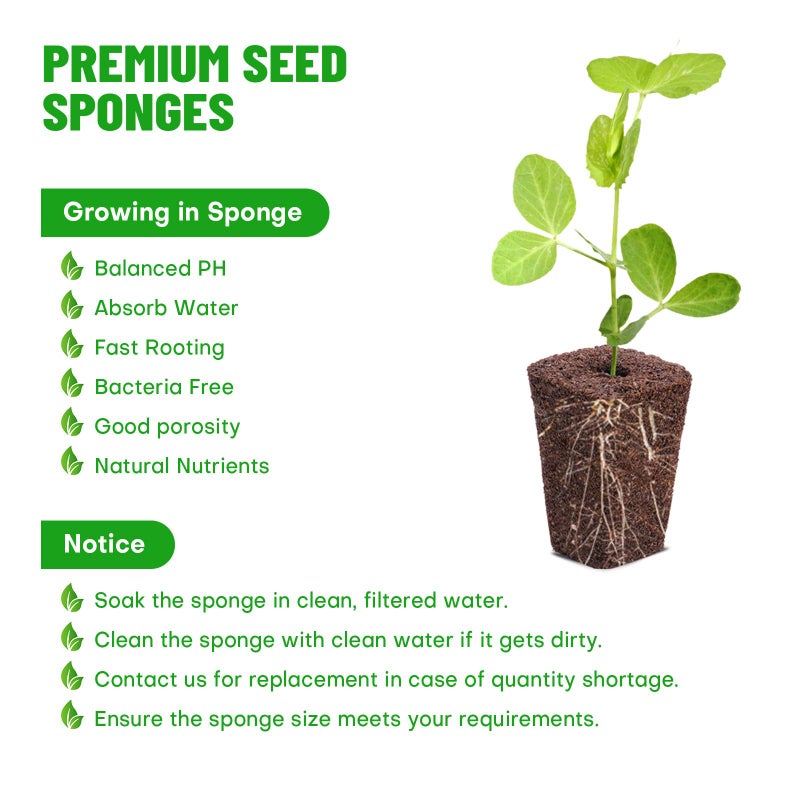 LAPOND 100 Pack Grow Sponges, Replacement Root Growth Sponges Seed Pods,Seed Starter Plugs for Hydroponic Indoor Garden System - Image 3