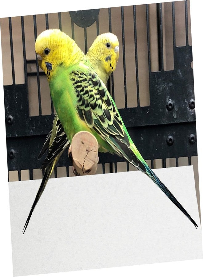 balacoo 100Pcs Parrot Cage Liners Absorbent Urine Mats for Bird Cages High Grade Non Woven Material and Bird Supplies for Parakeet Cage Accessories - Image 3