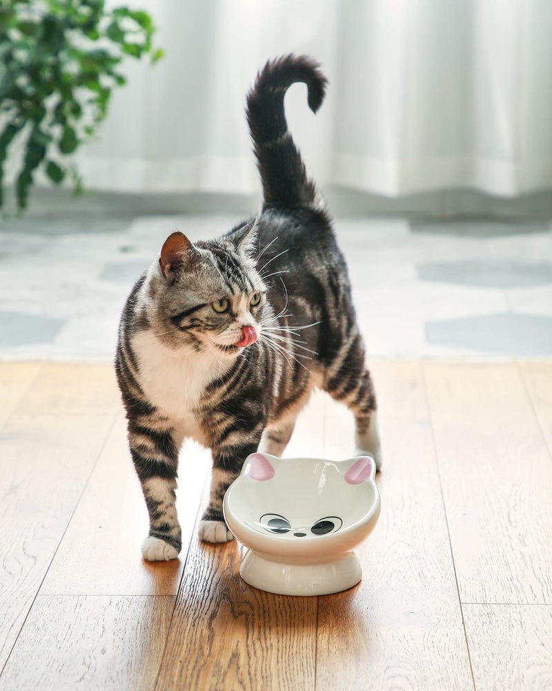 AISBUGUR Raised Cat Food Bowl Ceramic 15Â° Tilted Cat Food Bowls Protect Cat's Spine Anti Vomiting Backflow Prevention Bowls for Adult Kitty, Kitten, and Small Dogs, Pink - Image 4