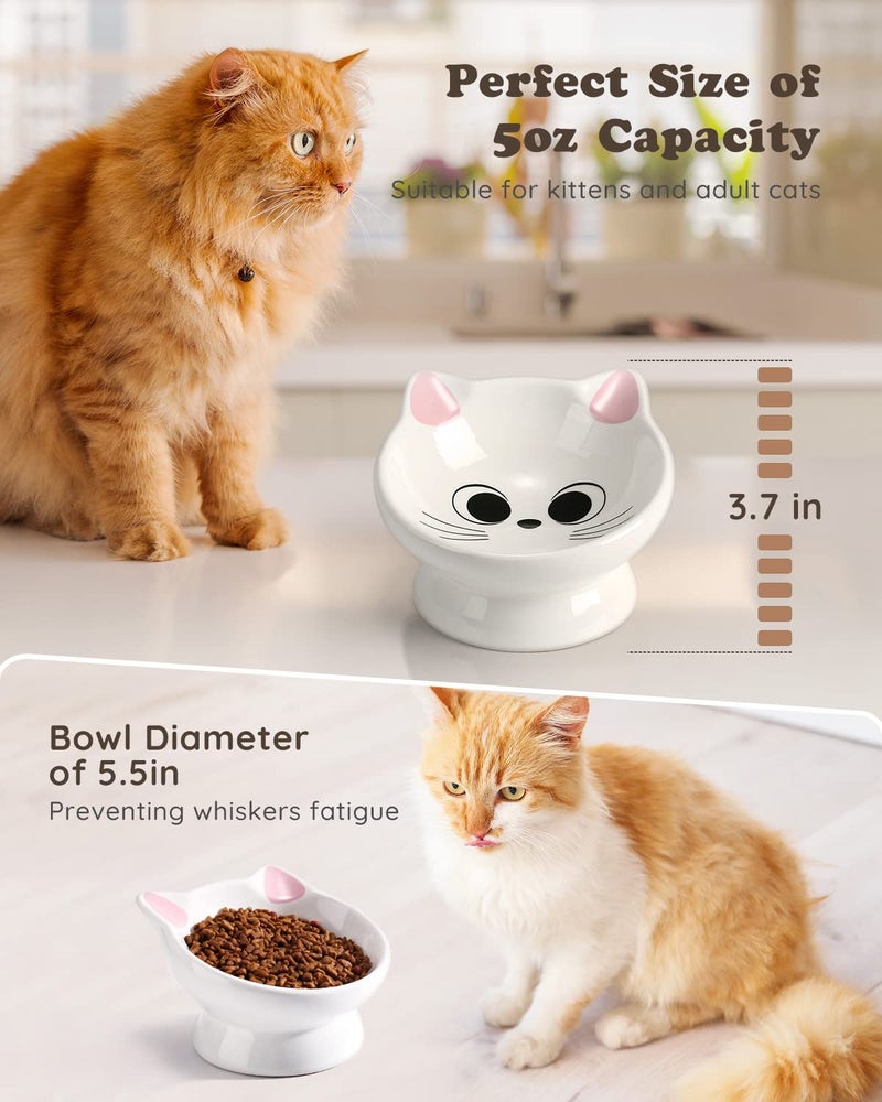 AISBUGUR Raised Cat Food Bowl Ceramic 15Â° Tilted Cat Food Bowls Protect Cat's Spine Anti Vomiting Backflow Prevention Bowls for Adult Kitty, Kitten, and Small Dogs, Pink - Image 5