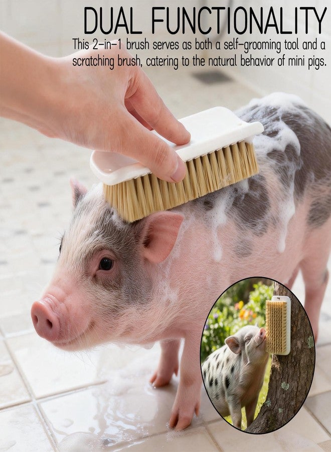 Tizee 2-in-1 Self-Grooming and Scratch Brush for Mini Pigs - 2 Pieces Encourages Natural Behavior, Reduces Stress, Ideal for Livestock and Pet Pigs - Image 2