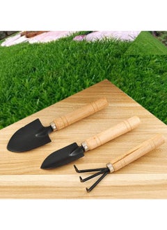 DubaiGallery 3pcs Small Shovel Set Creative Mini Size Garden Shovel Garden Shovel  - Image 2