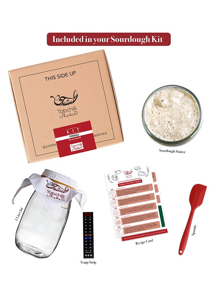 Tabchilli Sourdough Starter Making Kit, Fermented Bread Making Kit Includes 1L Glass Jar, 50g Sourdough Starter, Cotton Cloth, Spatula, Temperature Strip, and Recipe Card, All Essential Elements For Making Fermented Healthy Bread in One Kit - Image 1