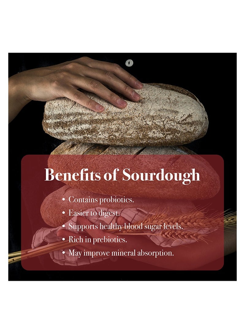 Tabchilli Sourdough Starter Making Kit, Fermented Bread Making Kit Includes 1L Glass Jar, 50g Sourdough Starter, Cotton Cloth, Spatula, Temperature Strip, and Recipe Card, All Essential Elements For Making Fermented Healthy Bread in One Kit - Image 2