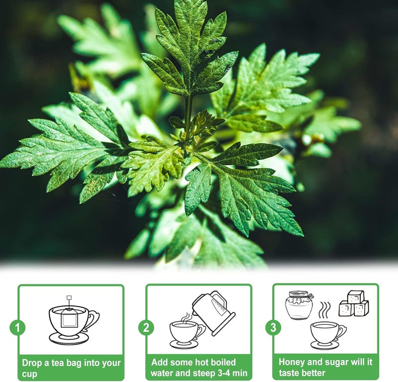 TEARELAE Mugwort Tea - 30 Tea Bags - Image 5