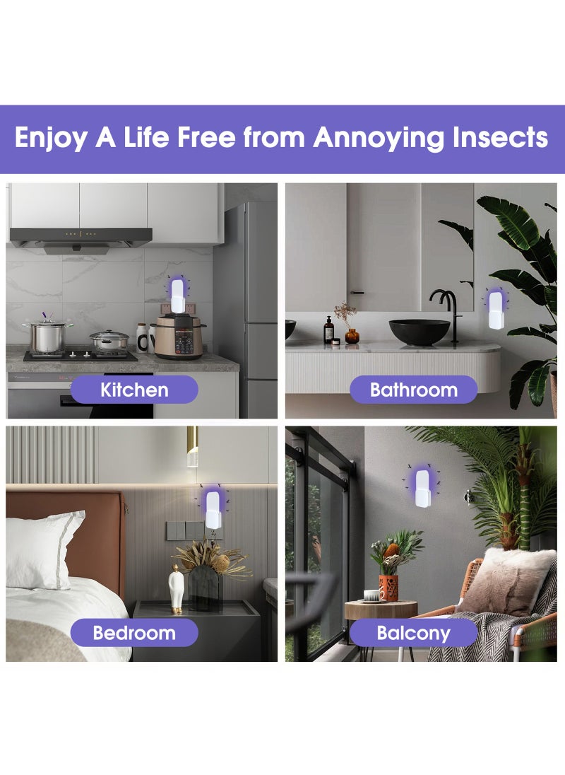 LAIAOCISI - Flying Insect Trap, 2 Devices with 10 Sticky Board Refills, Indoor Plug in Fly Trap with Night UV Light, Bug Catcher for Gnats, Fruit Flies and Mosquito - Image 1