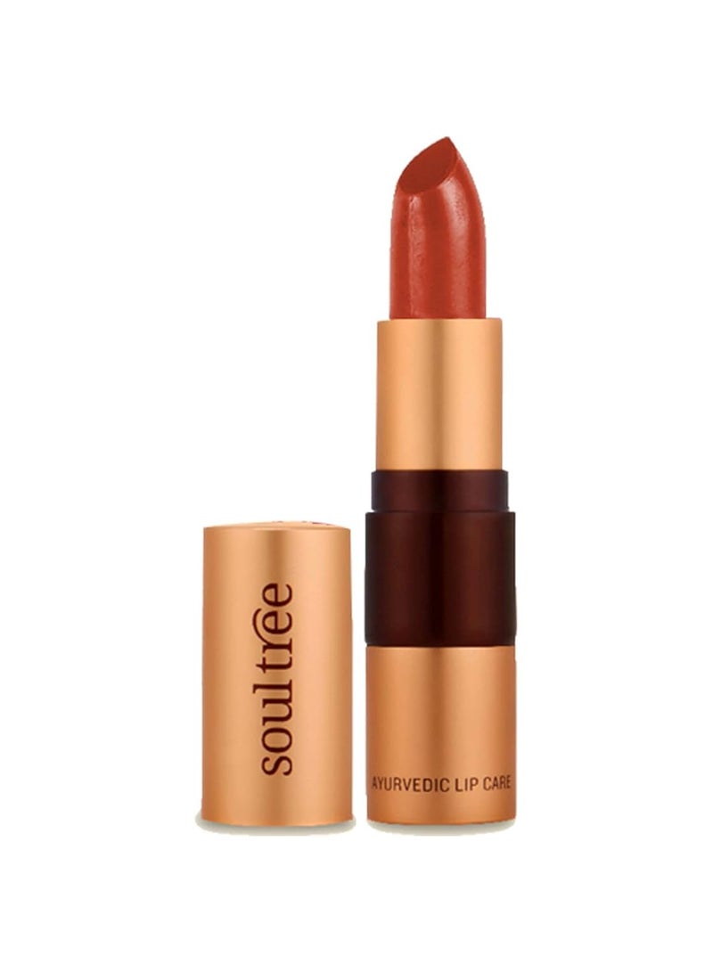 سول تري أحمر الشفاه سول تري أيورفيدا ريتش إيرث 777 4 جم - Image 1