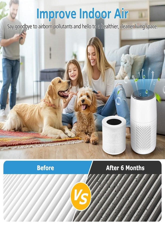 isingo 2 Pack Core Mini Replacement Filter for LEVOIT Core Mini-P Air Purifiers, Core Mini-RF Filter Replacement - Image 4