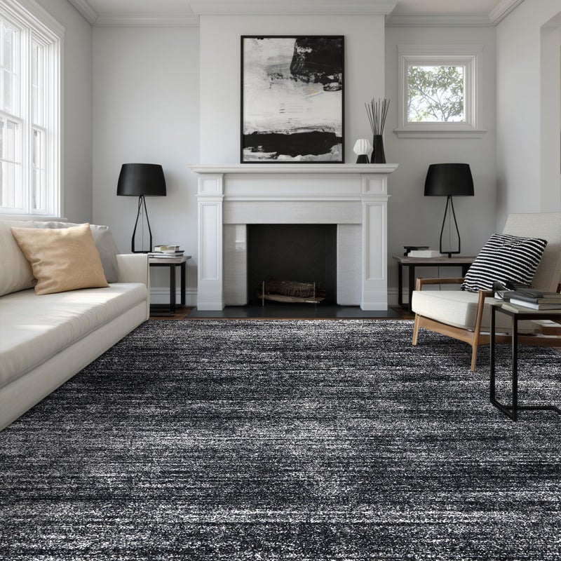 BILEEHOME Black and White Rug for Living Room,Washable Abstract Modern Boho Dark 5x7 Area Rugs for Office - Image 1