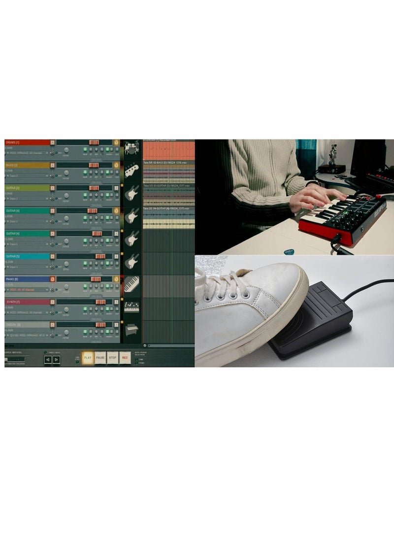 Generic - USB Foot Pedal Switch, Video Game PC Hands Free Footswitch One Key Control Program Computer Mouse Keyboard HID with 2M Cable, for Transcription, Push to talk, Zoom, Streaming, Gaming(Black) - Image 1