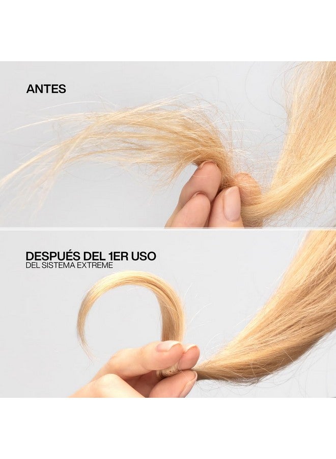 ريدكين قناع ريدكين إكستريم | قناع للشعر التالف والمتقصف | يُقوّي الشعر المتعب ويقويه | ٨٫٥ أونصة سائلة (عبوة من قطعة واحدة) - Image 3