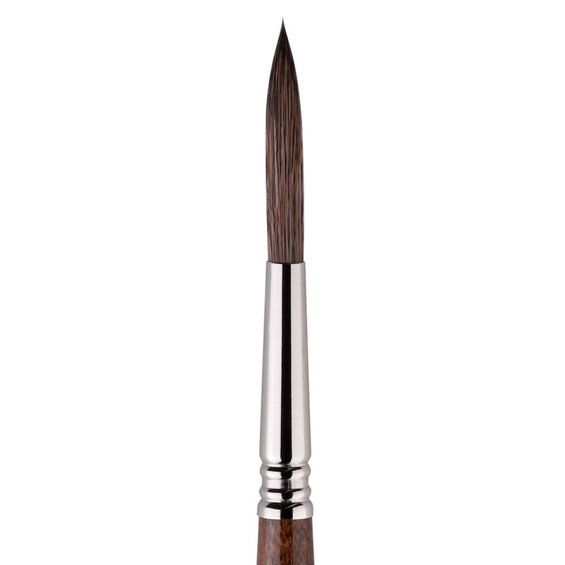 Escoda Versatil 1549 Series Artist Watercolor and Acrylic Paint Brush, Short Handle, Rigger, Size 8 - Image 2
