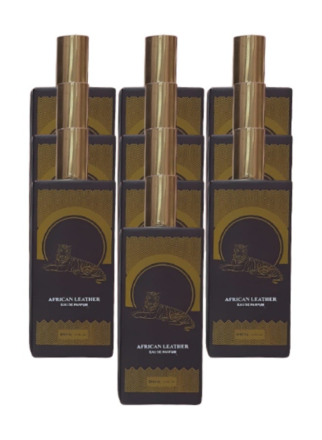 EMYC 10 Pieces African Leather Perfume For Unisex 100ml EDP - Image 1