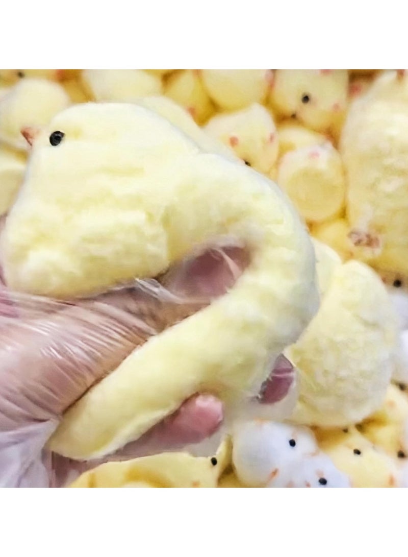 general Squishy Toys, handmade Taba Squishy Big Cat Paw Stock silicone squeeze toy for anxiety and relaxation - Image 3