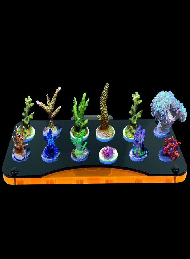 ESHOPPS Alpha Rack Mega Magnetic Coral Frag Rack 12 Holes with Strong Anti-Slip Rubber Padded Magnet for Reef Tanks - Image 2