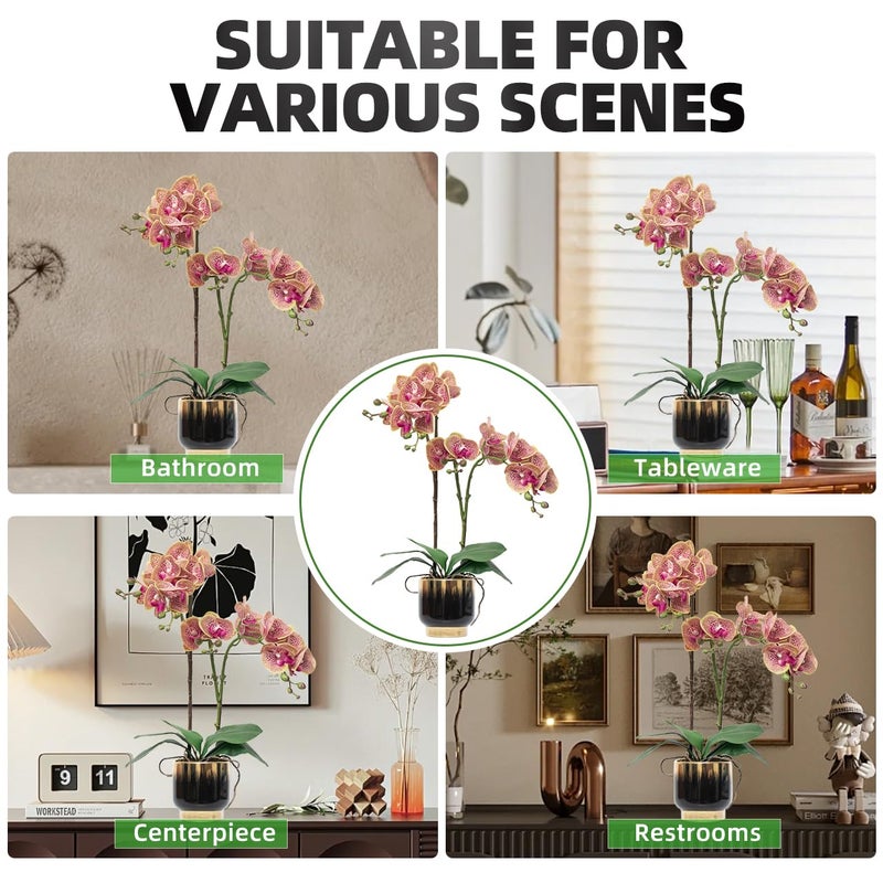 CXGS Orchids Artificial Flowers Real Touch Fake Flowers in Ceramic Pot 20" Purple Dapple Faux Orchid Plant Lifelike Silk Phalaenopsis for Centerpiece Hotel Home Indoor Decor - Image 5