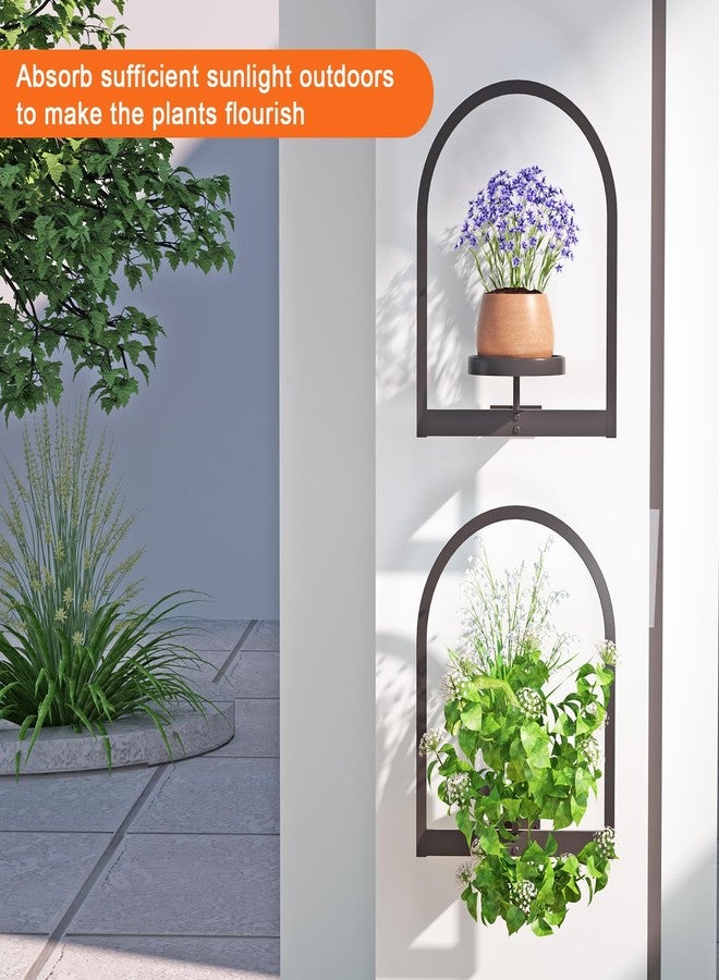 Flenpptly Wall Plant Holder, Wall Planter for Indoor Plants, Window Plant shelves for Multiple Plants Indoor Outdoor, Framed Plant Holder for Home Decor (3 Pack) - Image 5