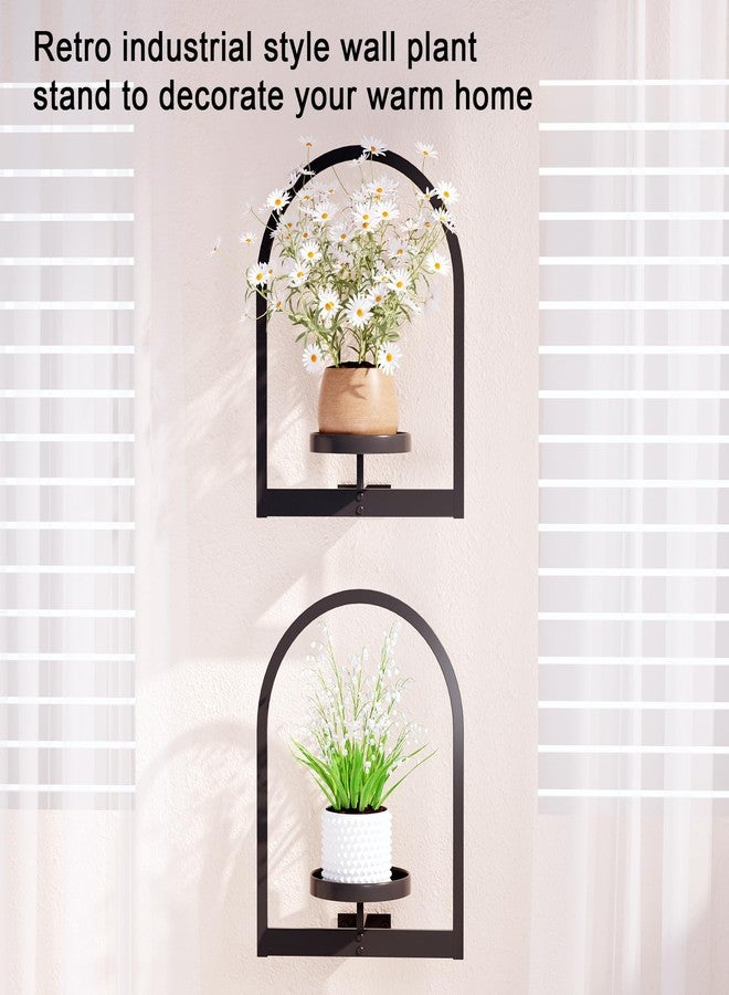 Flenpptly Wall Plant Holder, Wall Planter for Indoor Plants, Window Plant shelves for Multiple Plants Indoor Outdoor, Framed Plant Holder for Home Decor (3 Pack) - Image 4