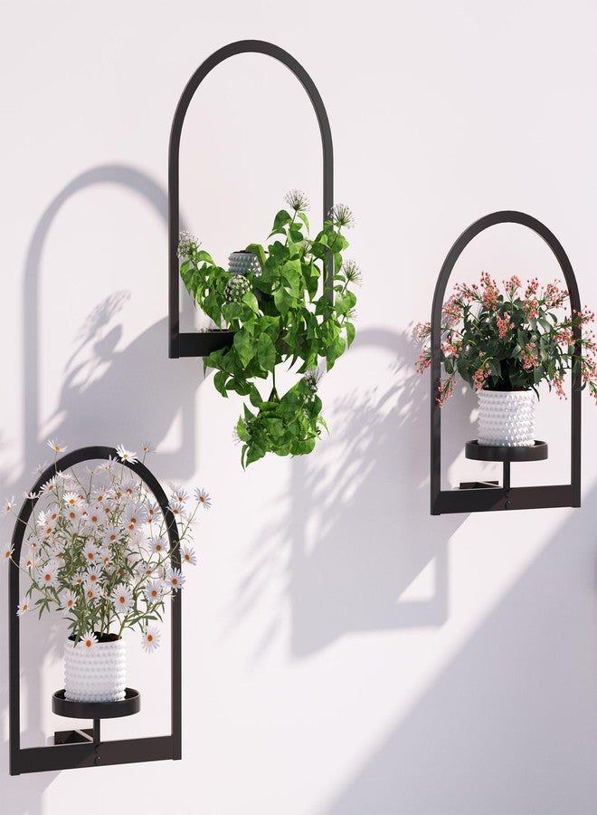 Flenpptly Wall Plant Holder, Wall Planter for Indoor Plants, Window Plant shelves for Multiple Plants Indoor Outdoor, Framed Plant Holder for Home Decor (3 Pack) - Image 1