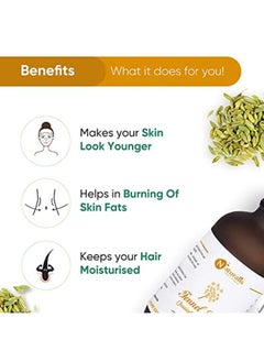 Naturalis Essence Of Nature Fennel Seed Essential Oil, Natural & Therapeutic Grade For Skin Care, Anti Aging, Hair Growth - 120Ml  - Image 4