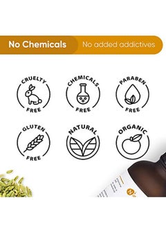 Naturalis Essence Of Nature Fennel Seed Essential Oil, Natural & Therapeutic Grade For Skin Care, Anti Aging, Hair Growth - 120Ml  - Image 5