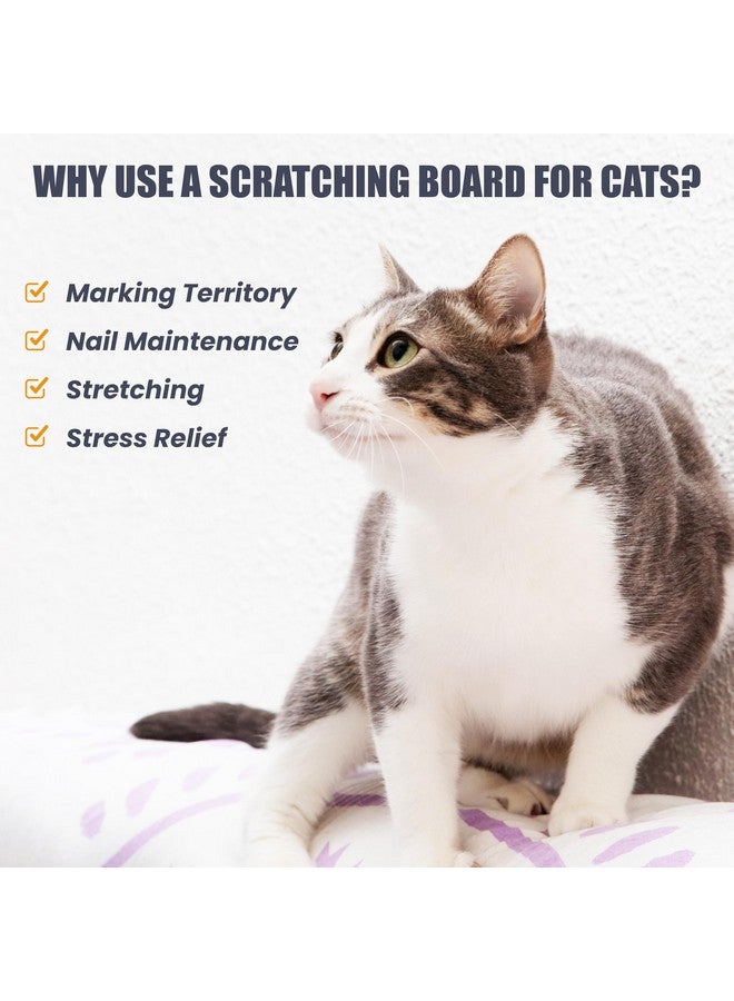 تريكسي لوح خدش على شكل لفافة للقطط: سجادة/مخمل من السيزال، للعناية بالمخالب، أداة خدش تفاعلية للقطط - 15×35 سم، أسود - Image 5