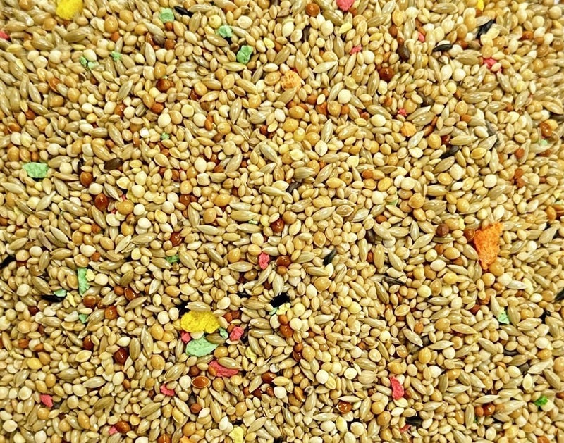 Egardenkart إي غاردن كارت "طعام الطيور الفينش الفاخر - مزيج مغذي لصحة وحيوية الفينش" (1 كجم) - Image 4