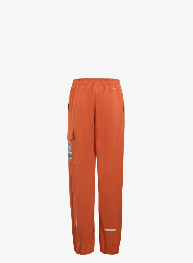 Adidas Minecraft Terrex CLIMAWARM Softshell Tracksuit Bottoms - Image 2