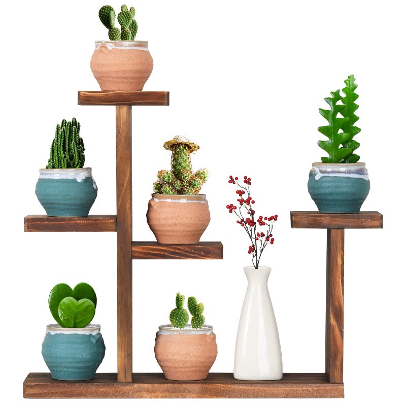 COOGOU Wooden Tabletop Plant Stand  5 Tier Succulent Plant Holder Decorative Planter Holder Small Desktop Flower Pot Rack Shelf for Decoration Living Room Home Office Windowsill
