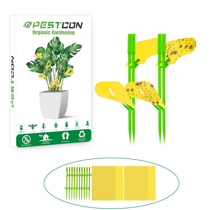 PESTCON 60PCS Yellow Sticky Traps for Plant Gnats Fungus Gnat Traps for House Indoor Fruit Fly Traps for Indoor/Outdoor Catcher for Whiteflies Mosquitoes Thrips Aphids... Stake Holders Included Dual-Sided - Image 1
