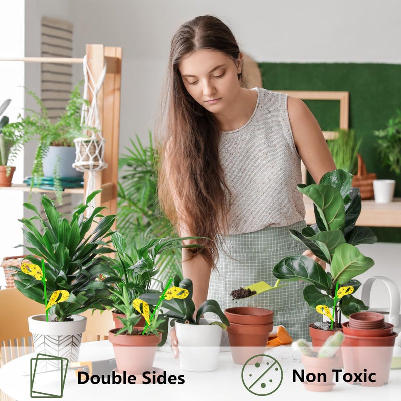 PESTCON 60PCS Yellow Sticky Traps for Plant Gnats Fungus Gnat Traps for House Indoor Fruit Fly Traps for Indoor/Outdoor Catcher for Whiteflies Mosquitoes Thrips Aphids... Stake Holders Included Dual-Sided - Image 5