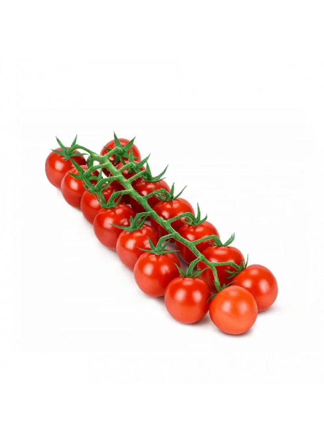BIOCARVE SEEDS cherry tomato seeds - Image 2